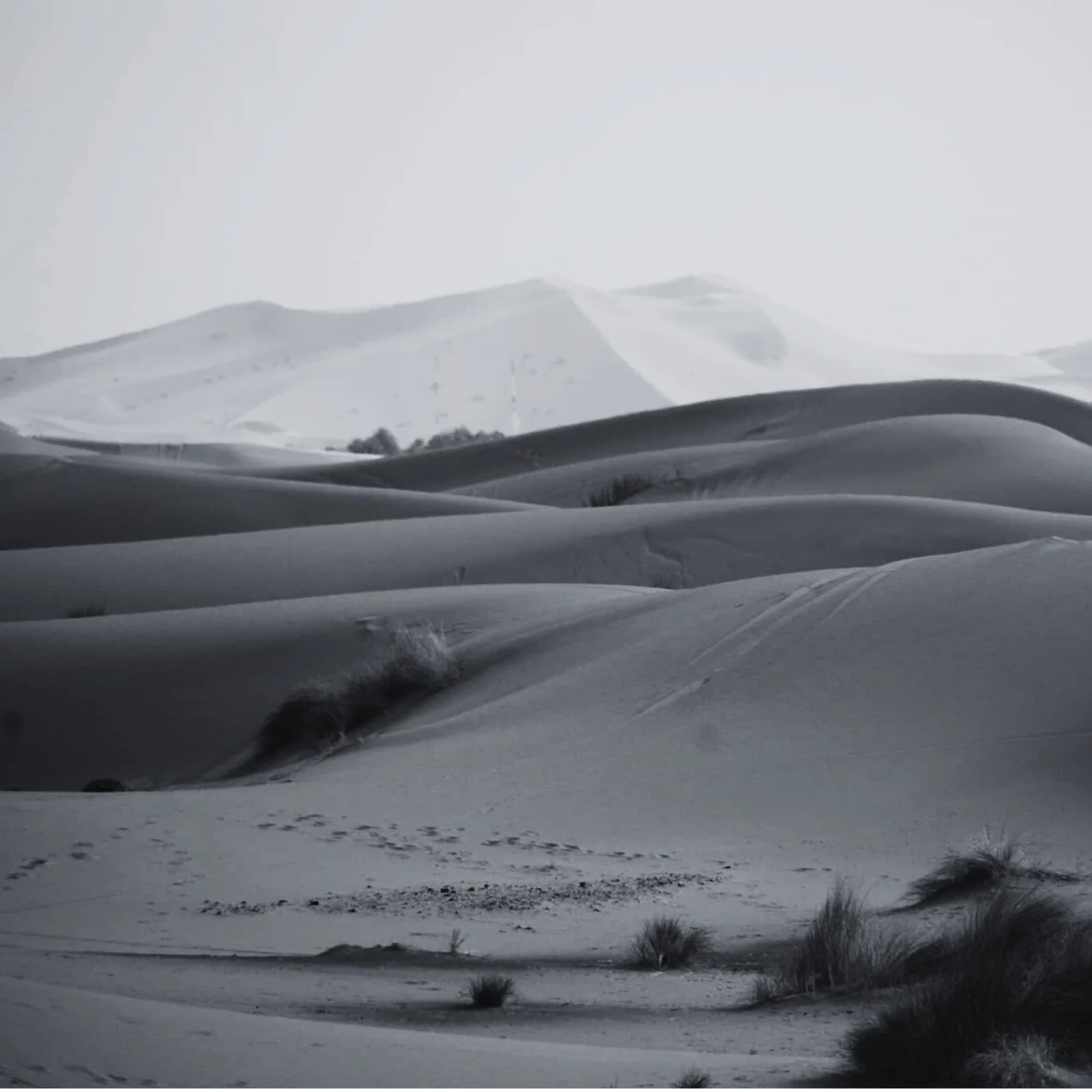 Moroccan culture and cuisine — Dar Mansour